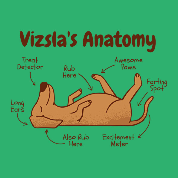 Vizsla anatómia-Férfi póló