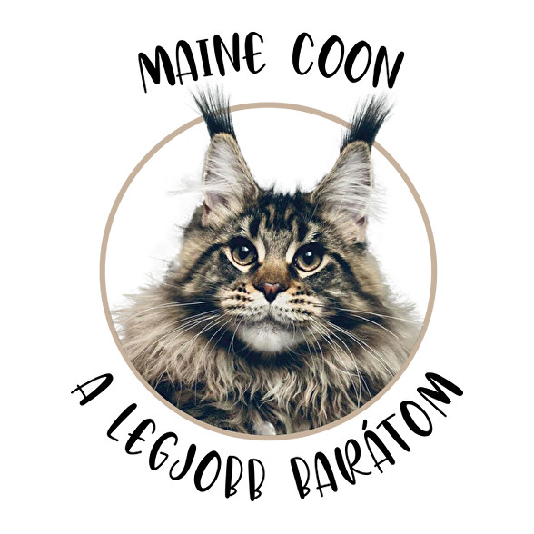 Maine Coon - Legjobb barát-Férfi V-nyakú póló