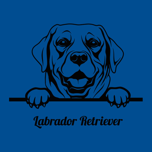 Labrador Retriver-Férfi V-nyakú póló