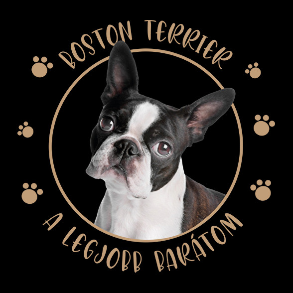 Boston terrier - Legjobb barát-Férfi V-nyakú póló