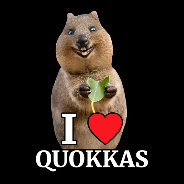 I love quakkas!-Női pulóver