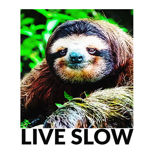 Live Slow-Női pulóver