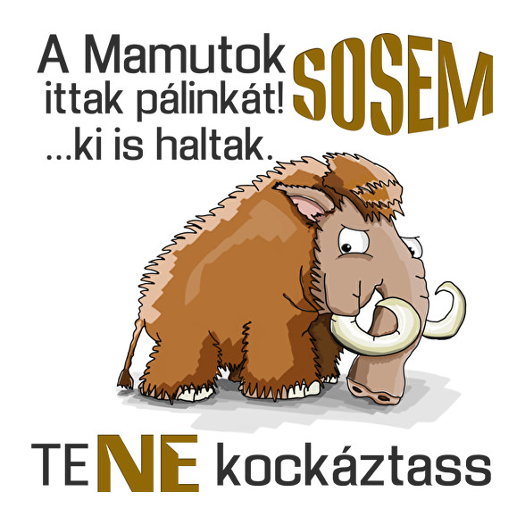 a mamutok sosem-Női pulóver