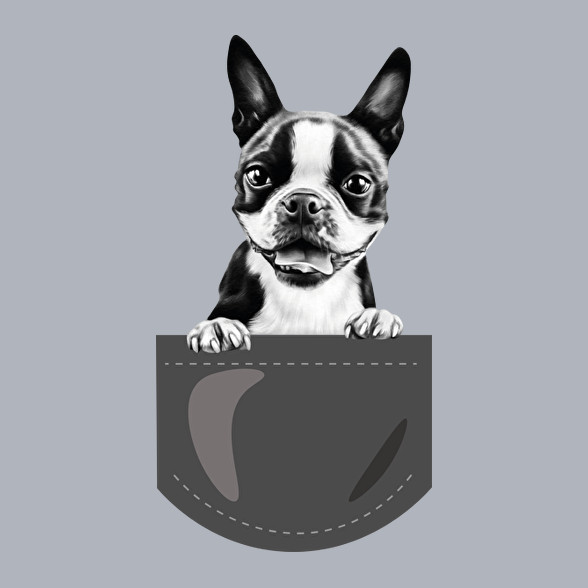 Boston Terrier - zseb-Női pulóver