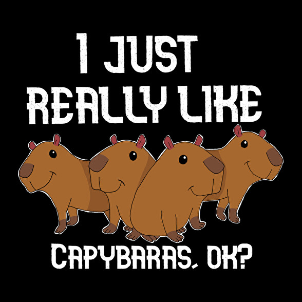 Capybara-Férfi hosszú ujjú póló