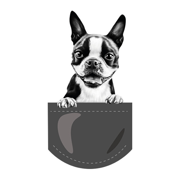 Boston Terrier - zseb-Sportzsák, Tornazsák