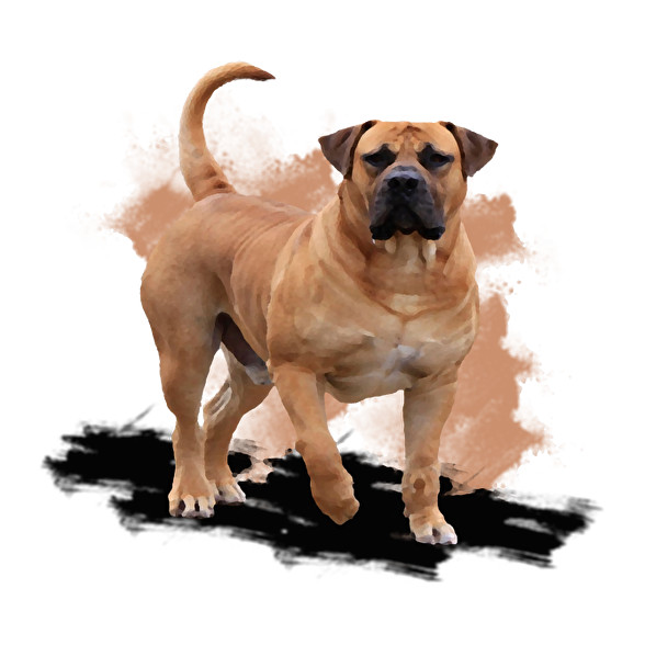 Bullmastiff-Férfi atléta