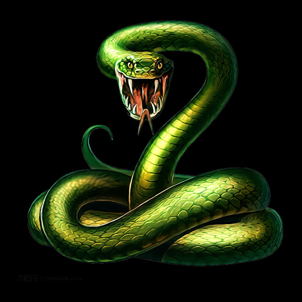 snake-Férfi atléta