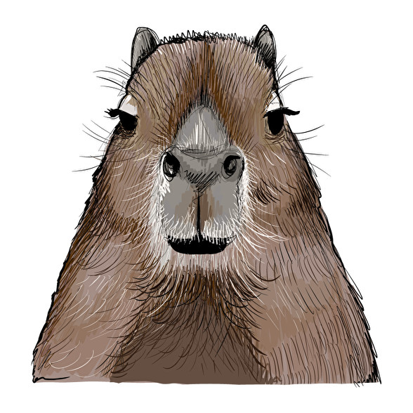 Capybara-Gyerek pulóver