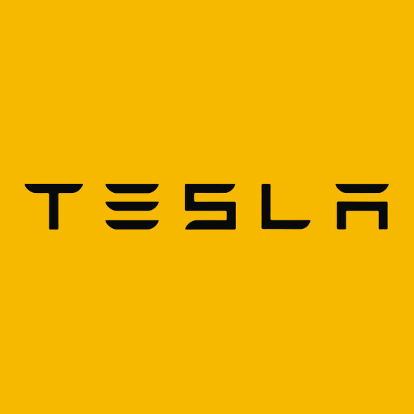 TESLA felirat-Női póló