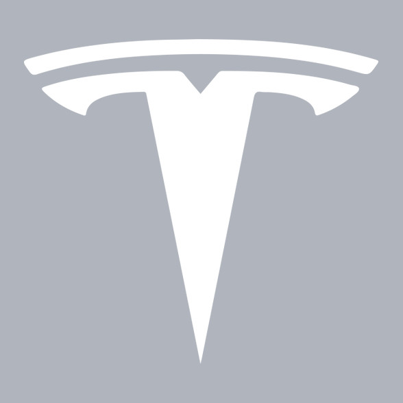 TESLA logo fehér-Férfi kapucnis pulóver