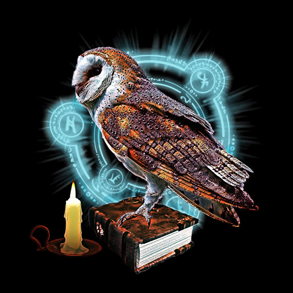 magic owl-Férfi pulóver