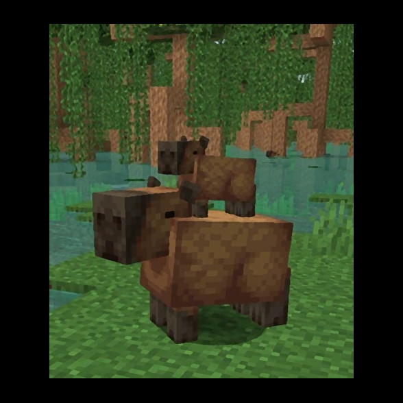 Minecraft Capybara-Gyerek kapucnis pulóver