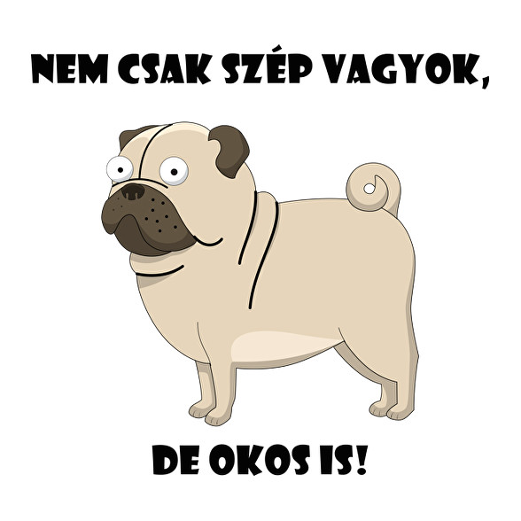 Nem csak szép vagyok-Női V-nyakú póló