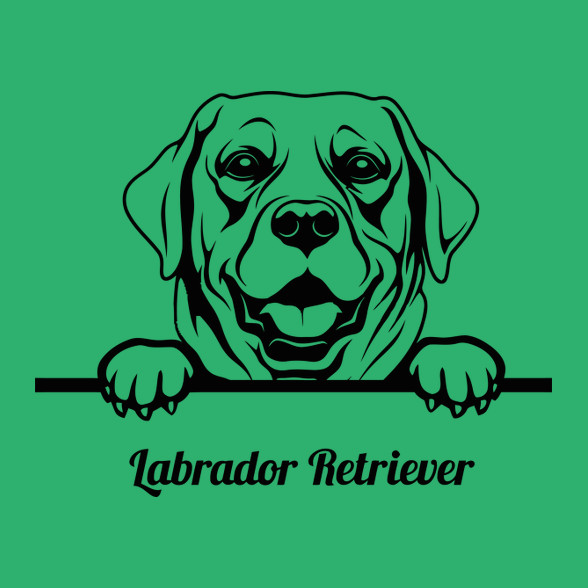 Labrador Retriver-Női V-nyakú póló