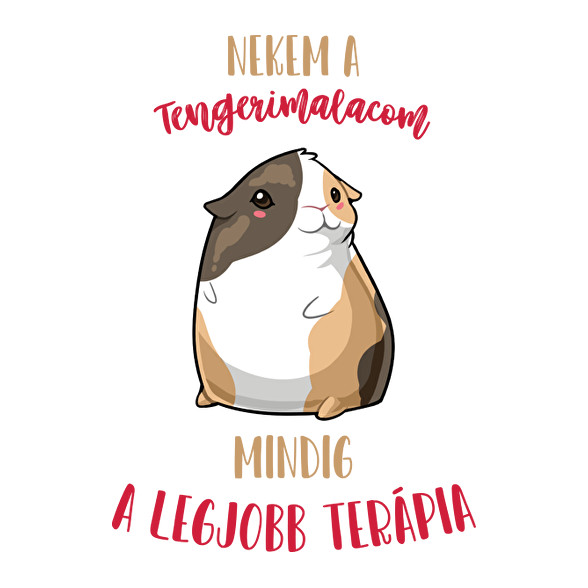 Legjobb terápia - Tengerimalac-Női hosszú ujjú póló