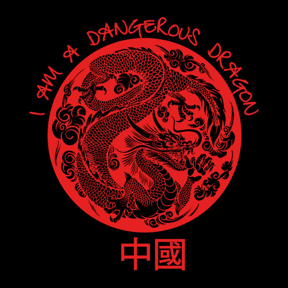 Dangerous dragon-Gyerek póló