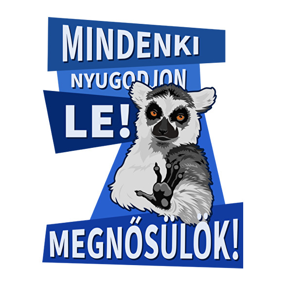 Mindenki nyugodjon le megnősülök-Párnahuzat, Díszpárnahuzat