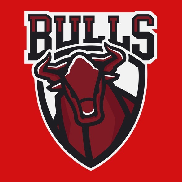 Bulls-Vászontáska