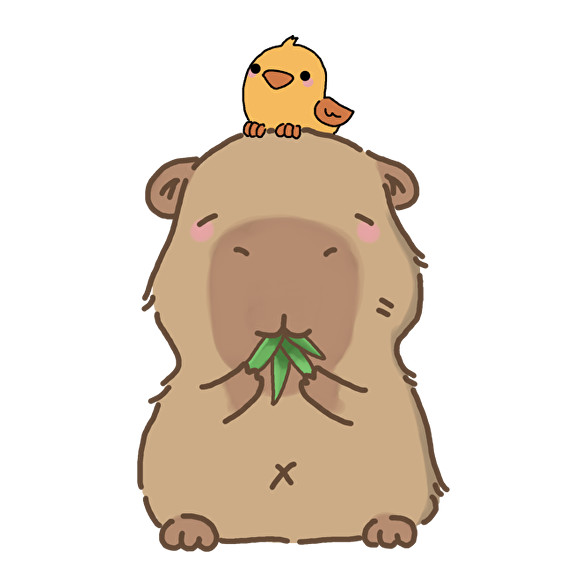 Capybara kismadárral-Baba Body