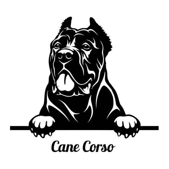 Cane Corso-Baba Body