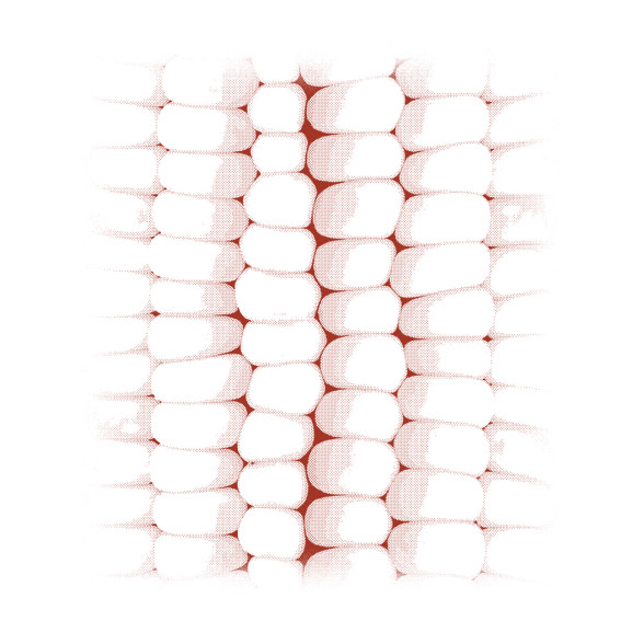 Kukoricás póló-Vászonkép
