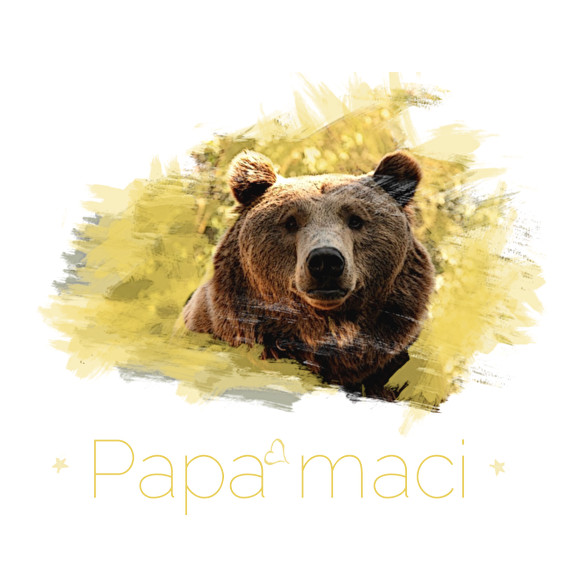 papamaci-Vászonkép