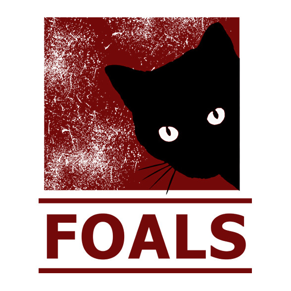 FOALS BLACK CAT-Vászonkép