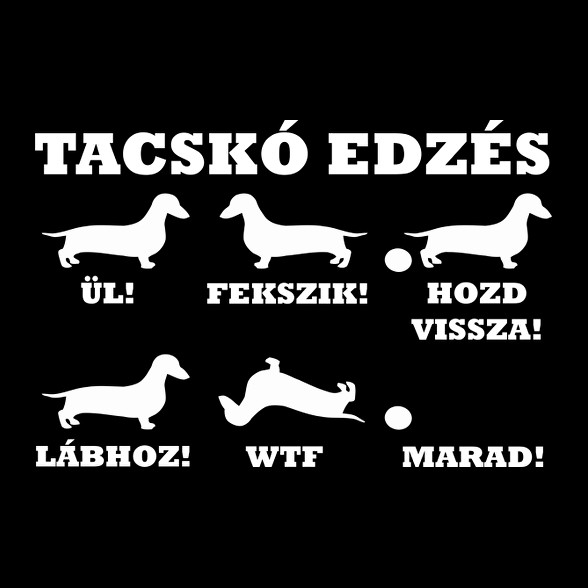 Tacskó trükkök-Vászonkép