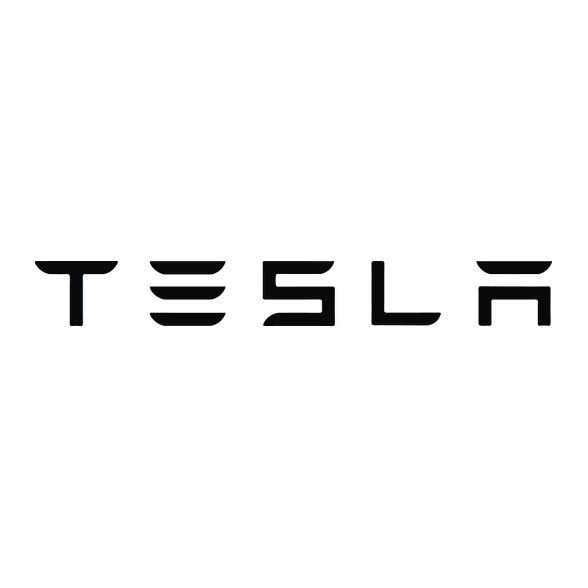 TESLA felirat-Vászonkép