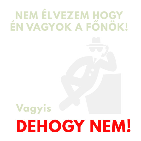 NEM ÉLVEZEM HOGY ÉN VAGYOK A FŐNŐK-Vászonkép