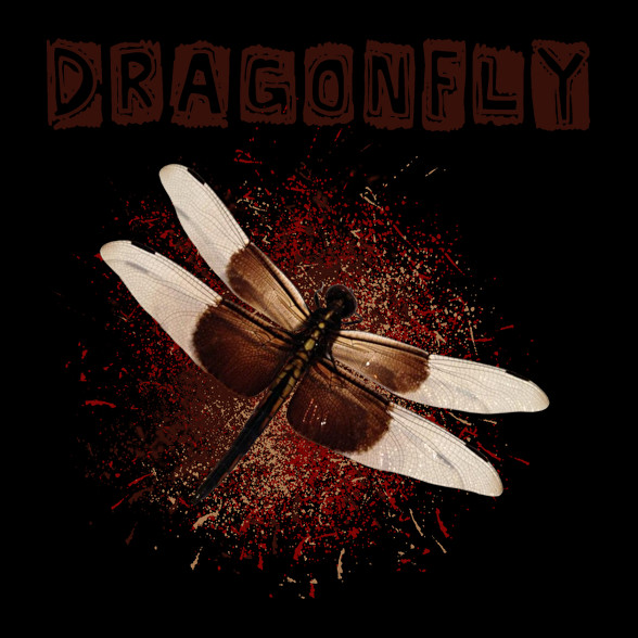 dragonfly1-Oversized póló