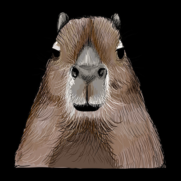 Capybara-Oversized kapucnis pulóver