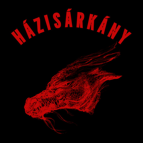 HÁZISÁRKÁNY-Oversized kapucnis pulóver