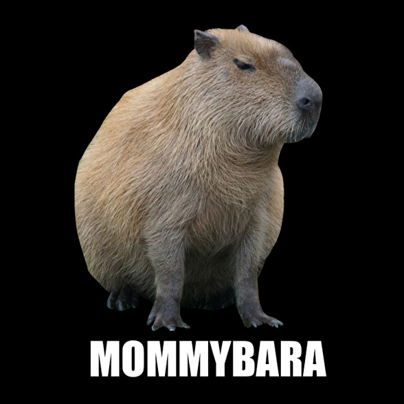 Capybara család - Mommybara-Oversized kapucnis pulóver