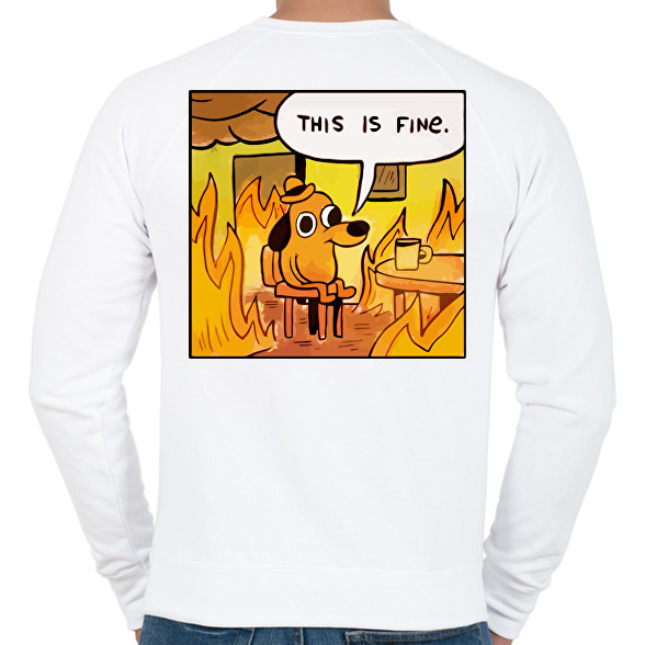 This is fine-Férfi pulóver