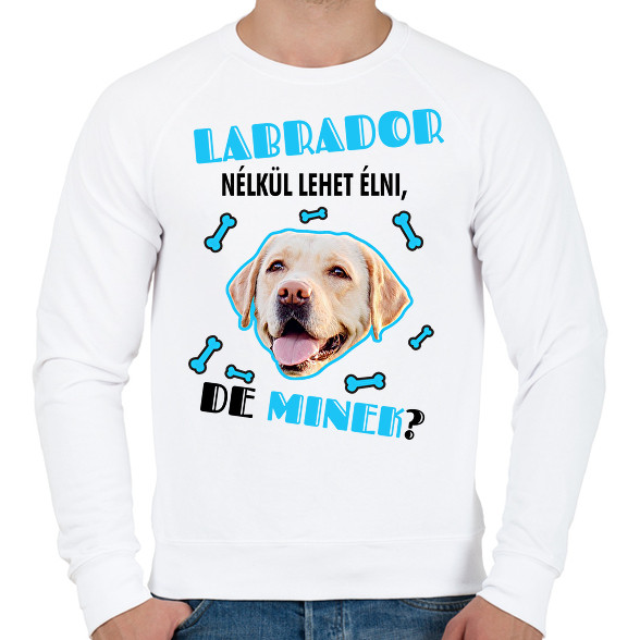 Labrador nélkül lehet élni, de minek?-Férfi pulóver