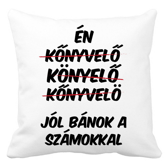 Jól bánok a számokkal-Párnahuzat, Díszpárnahuzat