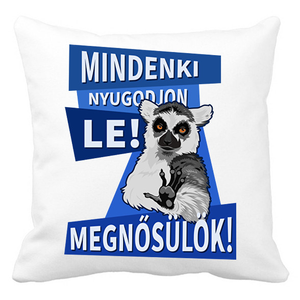 Mindenki nyugodjon le megnősülök-Párnahuzat, Díszpárnahuzat