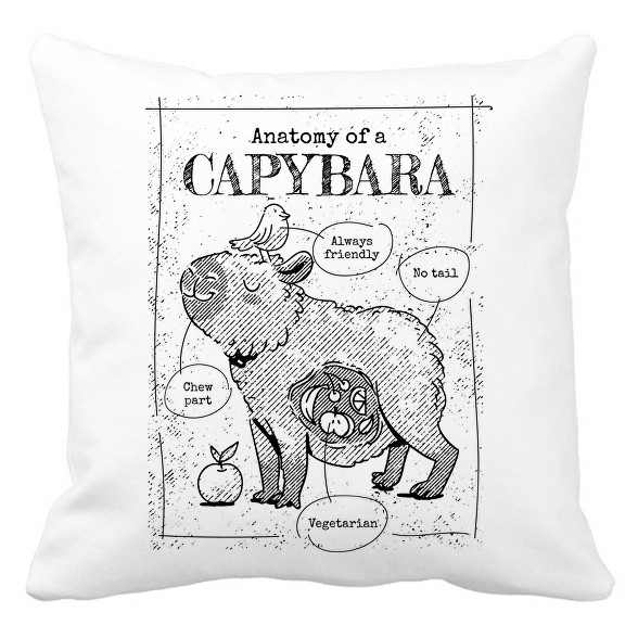 Capybara anatómia-Párnahuzat, Díszpárnahuzat