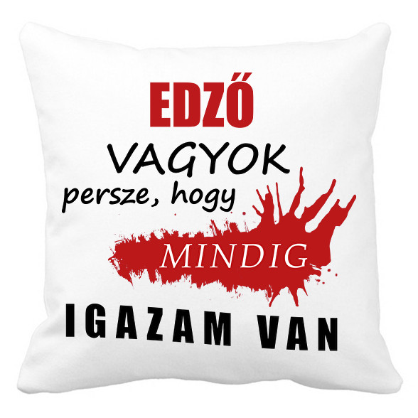 Edző vagyok...-Párnahuzat, Díszpárnahuzat