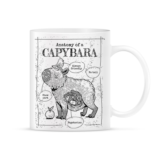 Capybara anatómia-Bögre