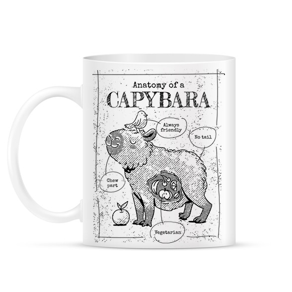 Capybara anatómia-Bögre