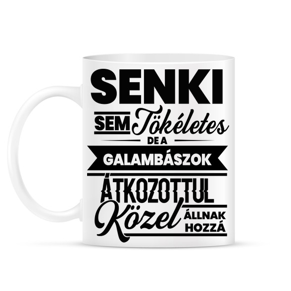 Senki sem tökéletes - Galambász-Bögre