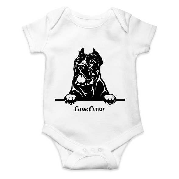 Cane Corso-Baba Body