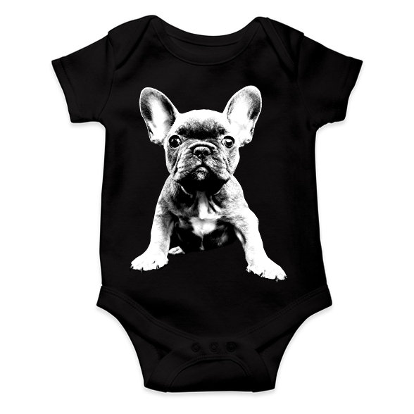 Francia Bulldog-Baba Body