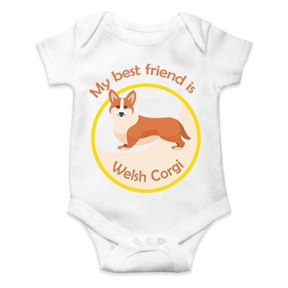 My best friend - Welsh corgi-Baba Body