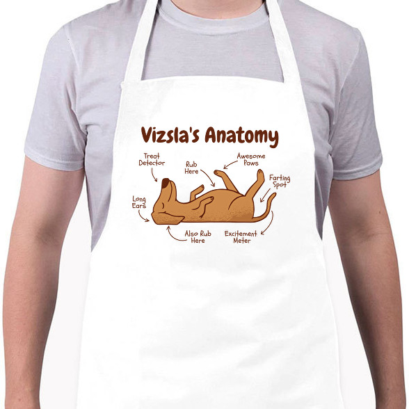 Vizsla anatómia-Kötény