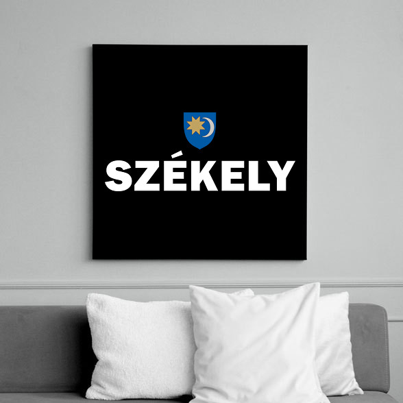 Székely-Vászonkép