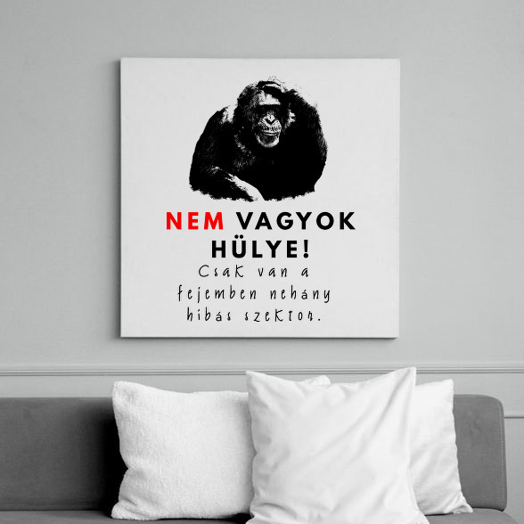 nem vagyok hülye-Vászonkép